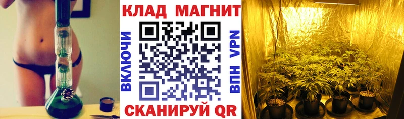 Магазины продажи наркотиков Ленинск-Кузнецкий Кокаин Канабис Меф ГАШИШ