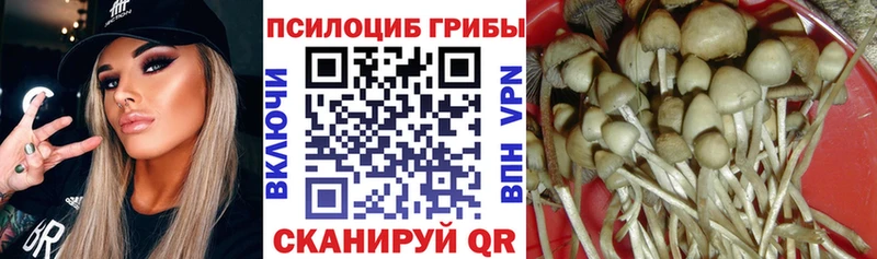 Псилоцибиновые грибы MAGIC MUSHROOMS  кракен ССЫЛКА  Ленинск-Кузнецкий 